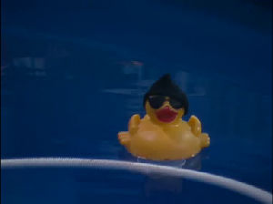 bye-bye Lucky Duckie!!!